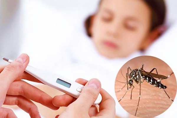 Strengthen the prevention of dengue fever